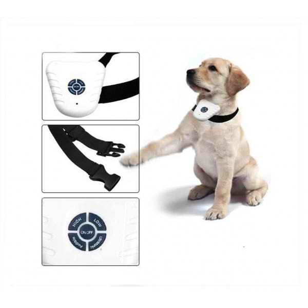 collier anti aboiement petsafe