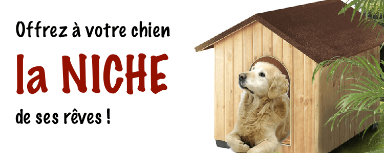 Niche pour chien - que choisir