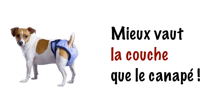 Couches pour chien