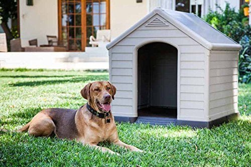 Acheter Une Niche Pour Chien En Pvc Prix Avis Et Comparatif