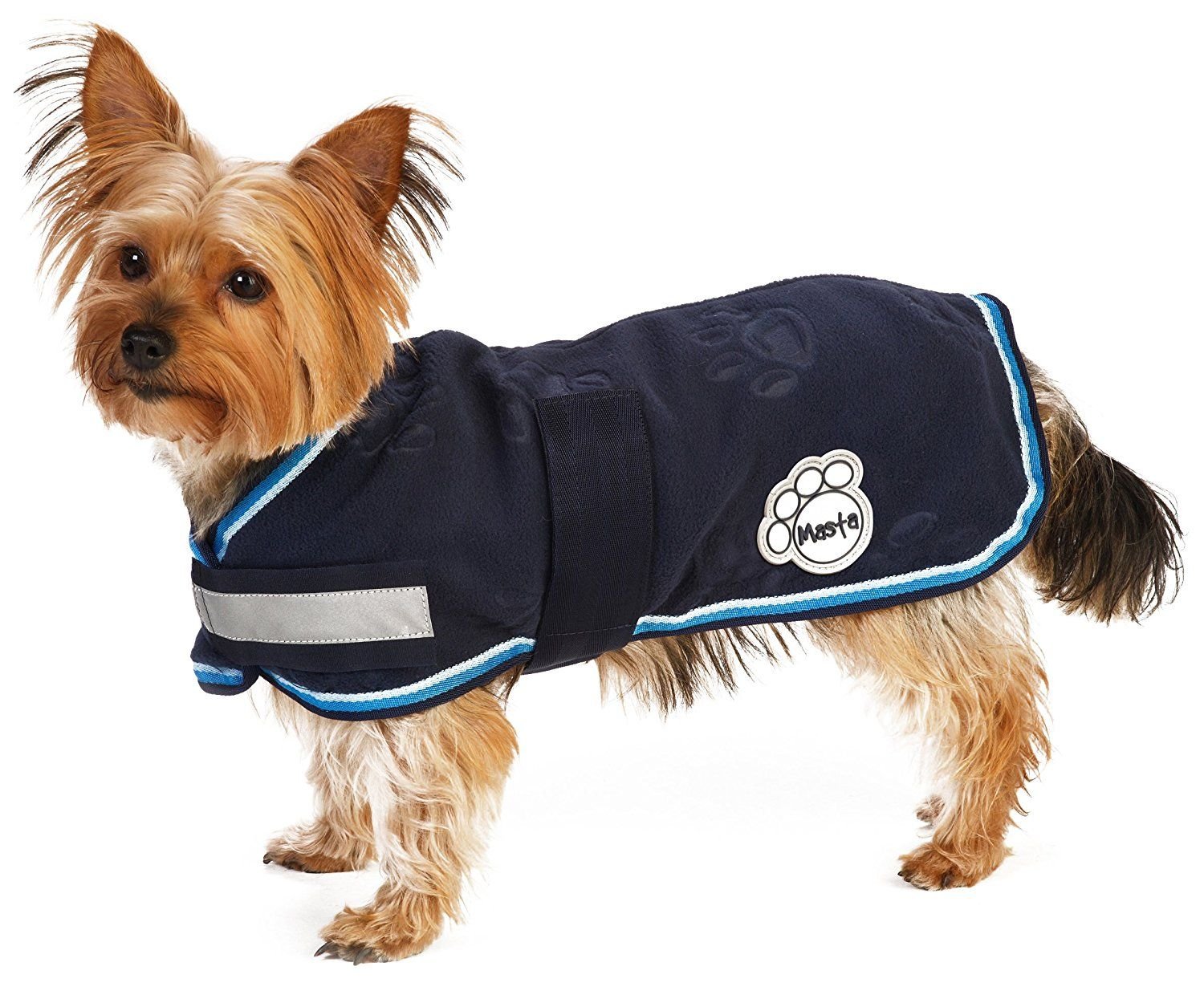 manteau pour chien utile ou pas