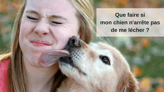 chien me leche trop souvent